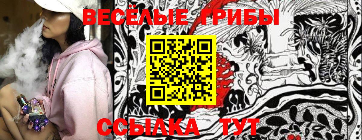 Тимашёвск  дарнет шоп  Вход с VPN  Галлюциногенные грибы Magic Shrooms 