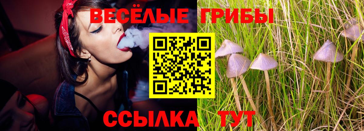Галлюциногенные грибы мицелий Тимашёвск